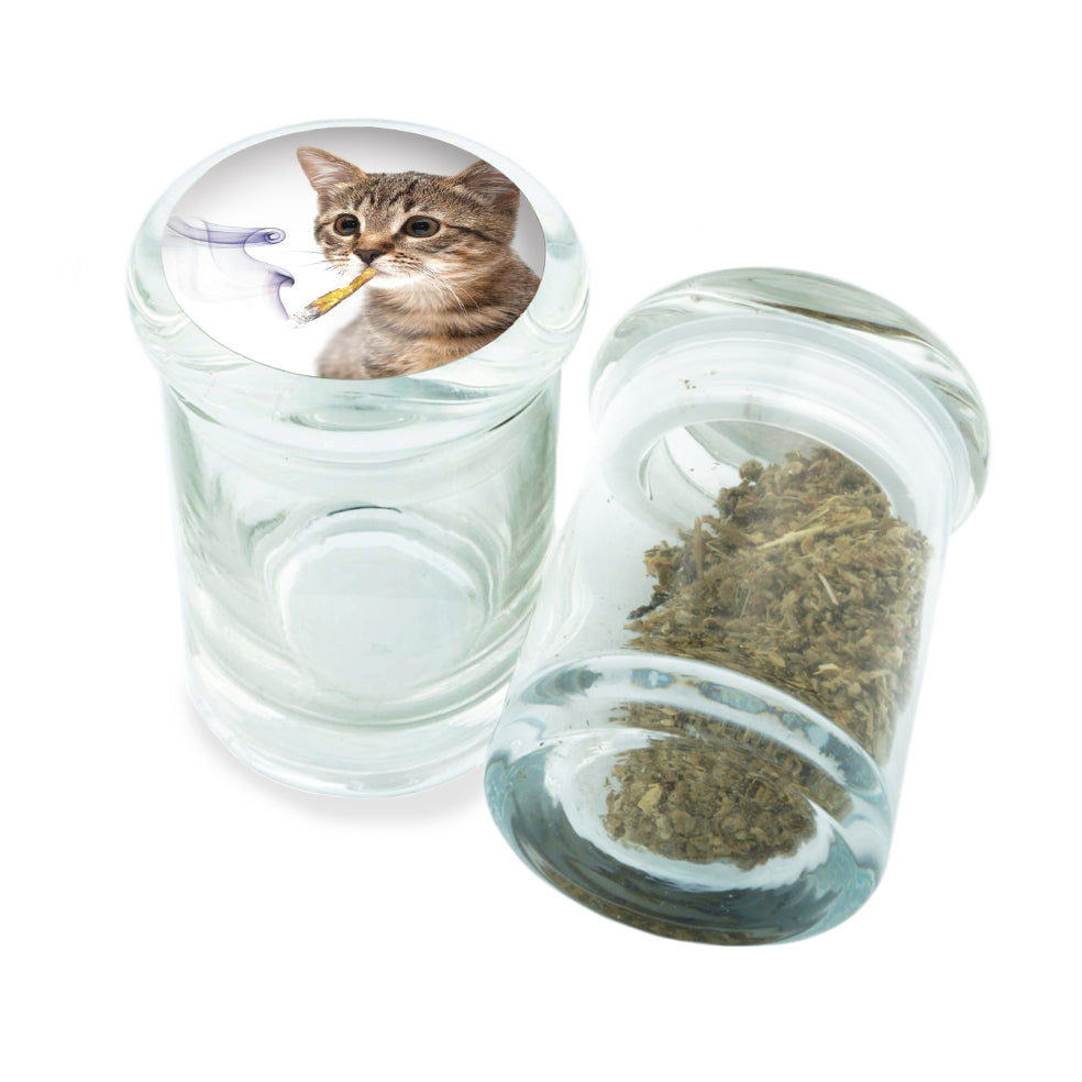 PopTop Glass Container With Design #PJJ-071