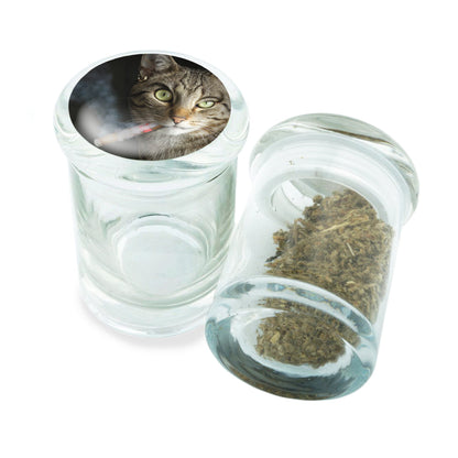 PopTop Glass Container With Design #PJJ-072